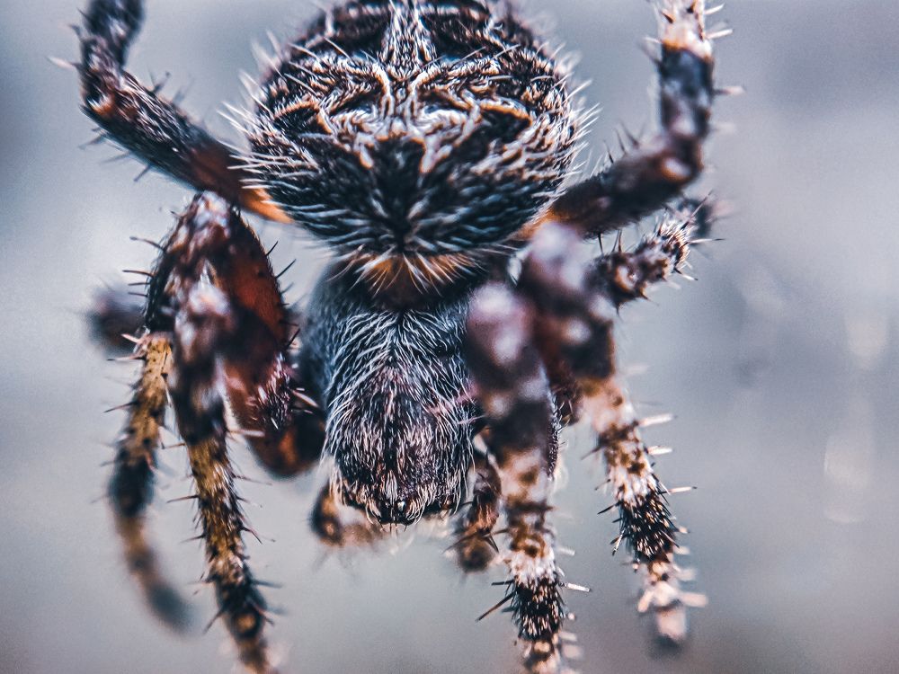 Photograph by Aung Myint Myat