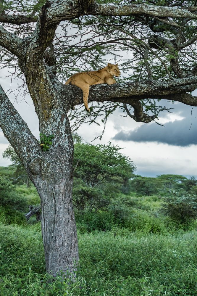 Фотография автора Patrick Hozza