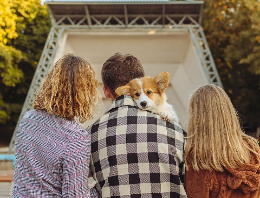 Photograph by Марина Брик