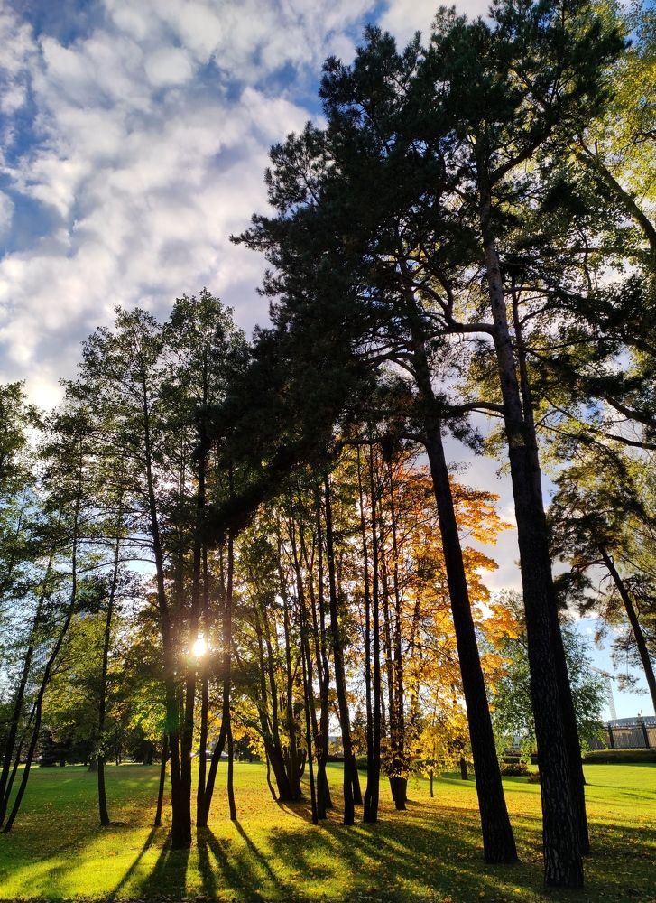 Photograph by Татьяна Шарко