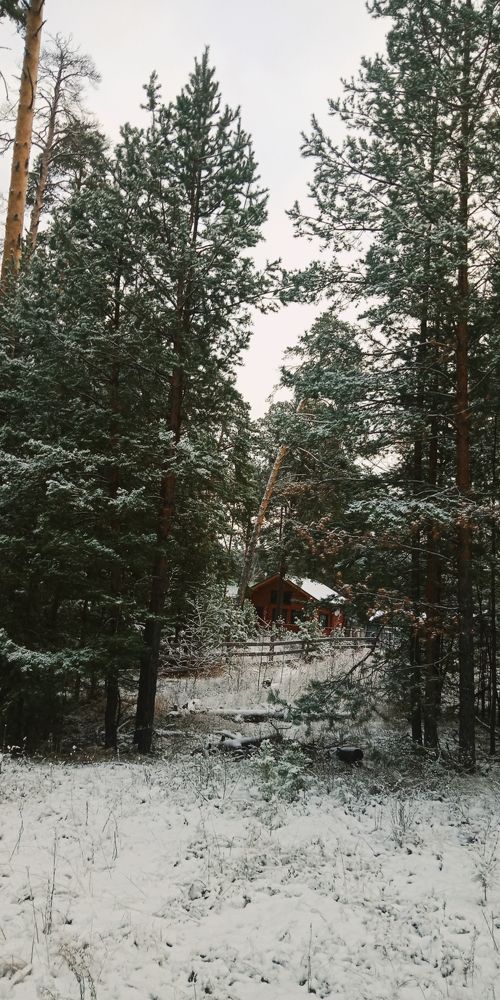 Photograph by Ирина Саватеева
