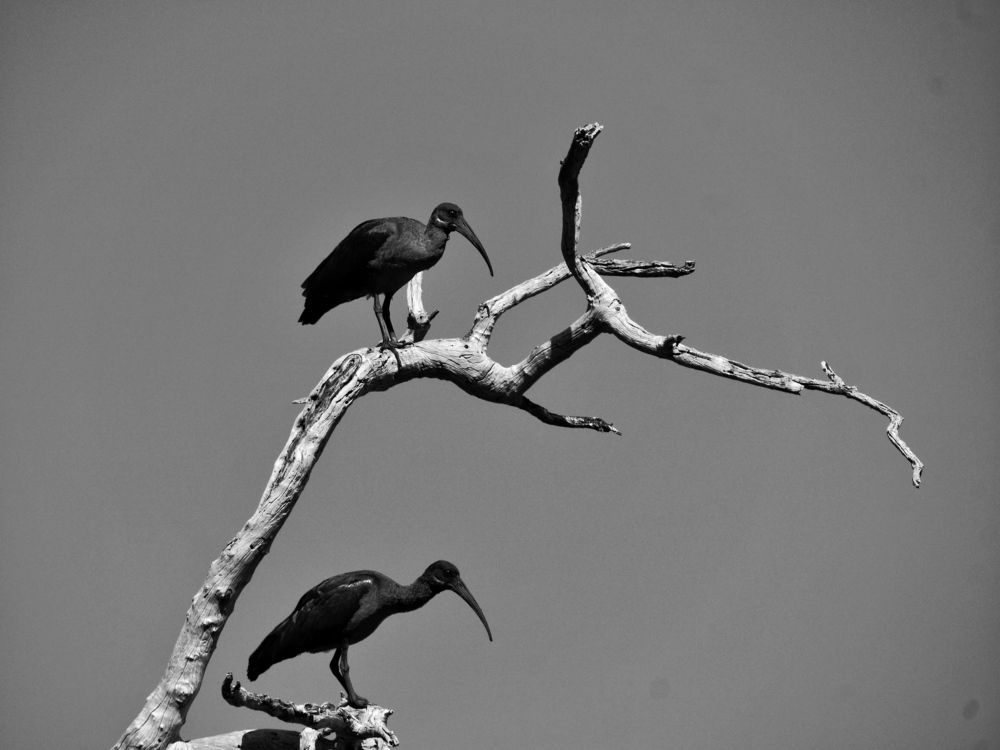 Photograph by Tatyana