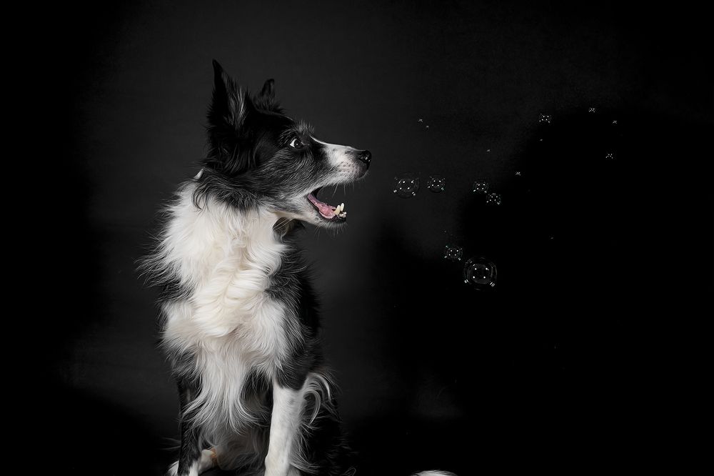 Photograph by Alicia Mate