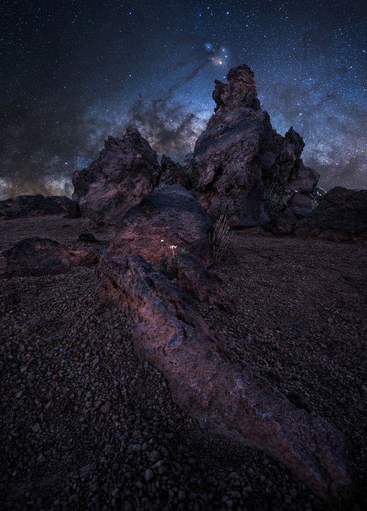 Photograph by Petr Brezna