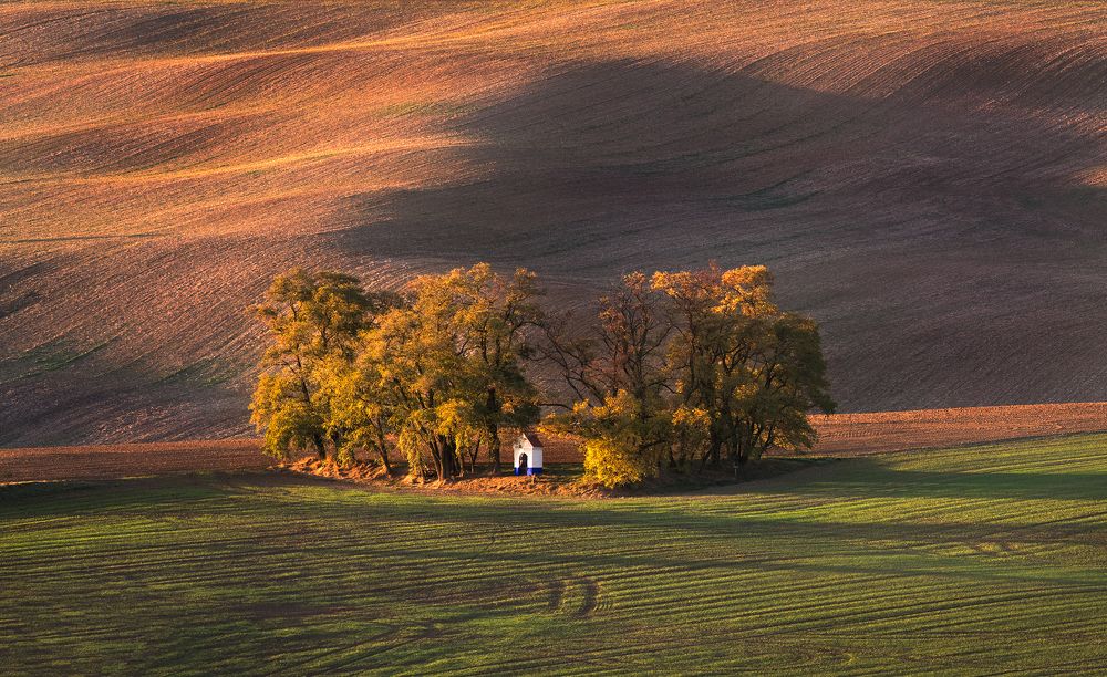 Photograph by Petr Brezna