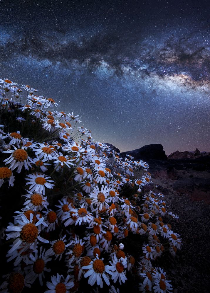 Photograph by Petr Brezna