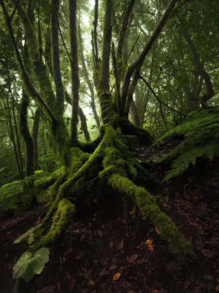 Photograph by Petr Brezna