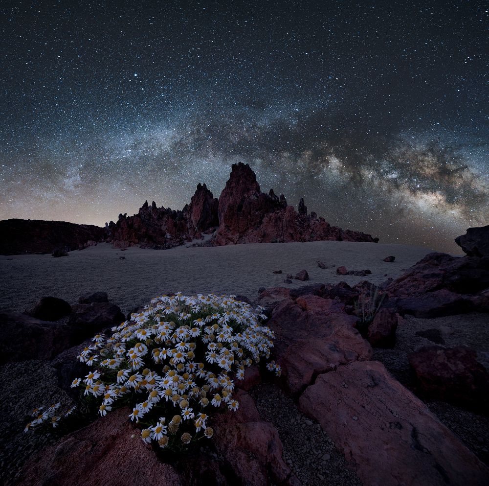 Photograph by Petr Brezna