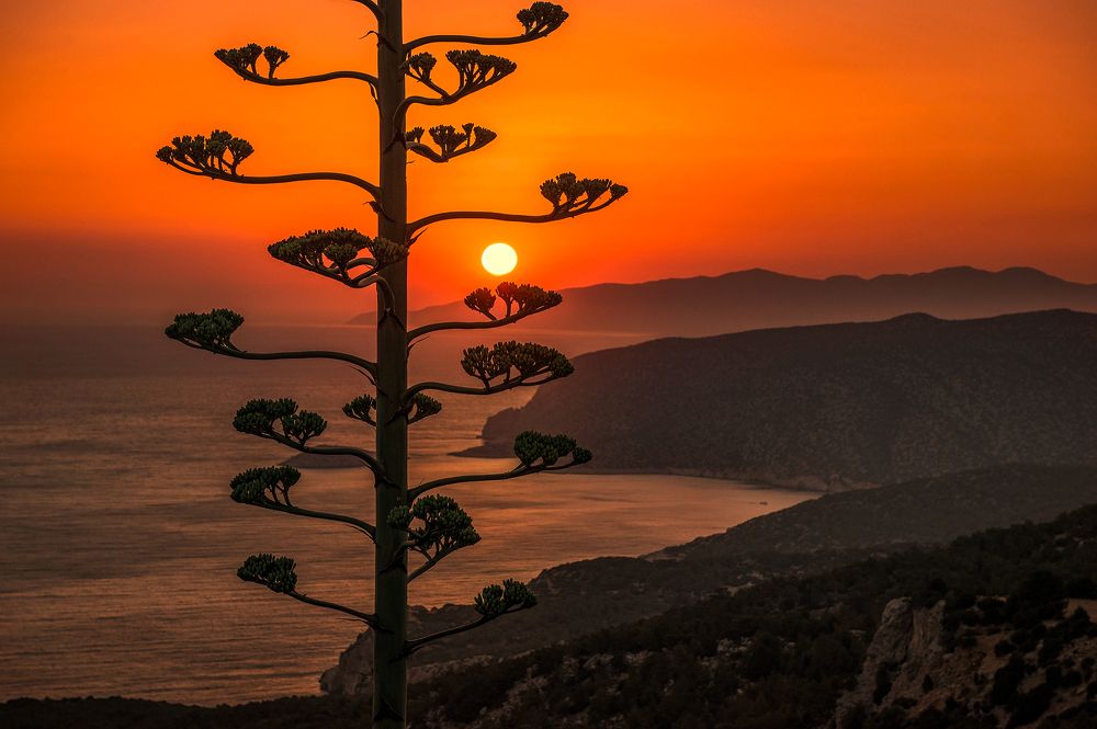 Photograph by Petr Brezna