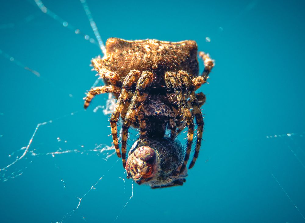 Photograph by Ashkan Bahrami