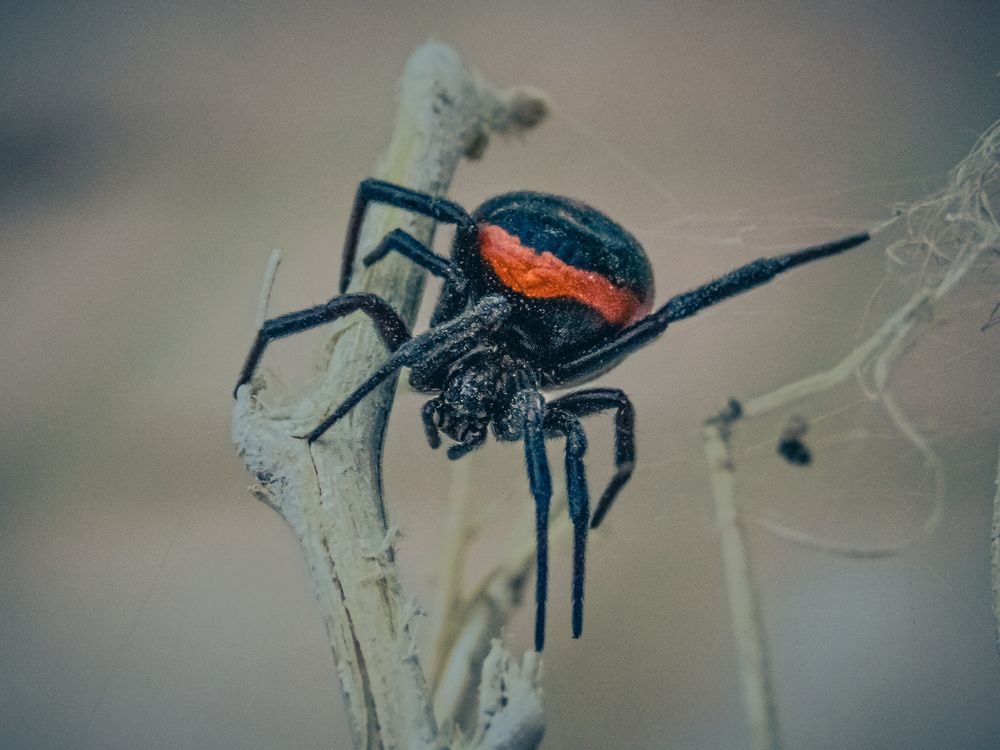 Photograph by Ashkan Bahrami