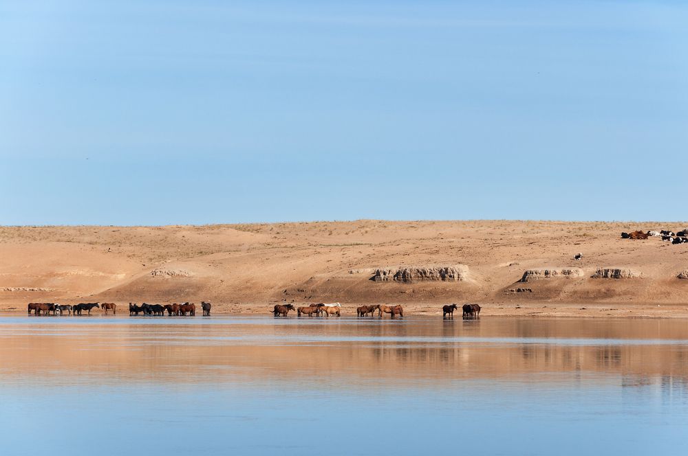 Photograph by Данил Мандрыгин