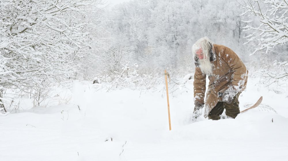 Зимняя история