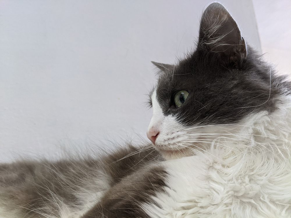 Photograph by Danys Reyes