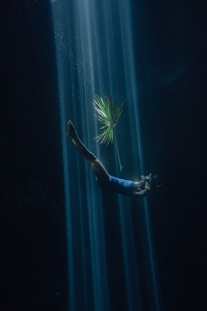 Photograph by Julia L