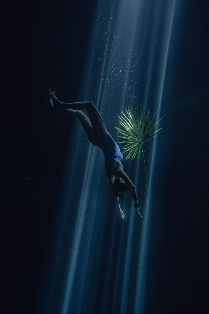 Photograph by Julia L