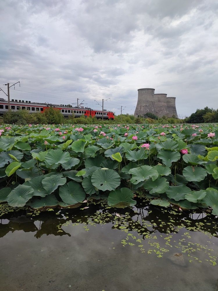 Photograph by Людмила Воропаева