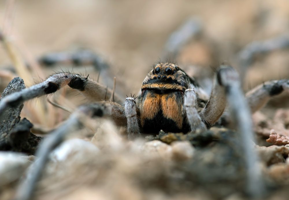 Photograph by Александр Земляной