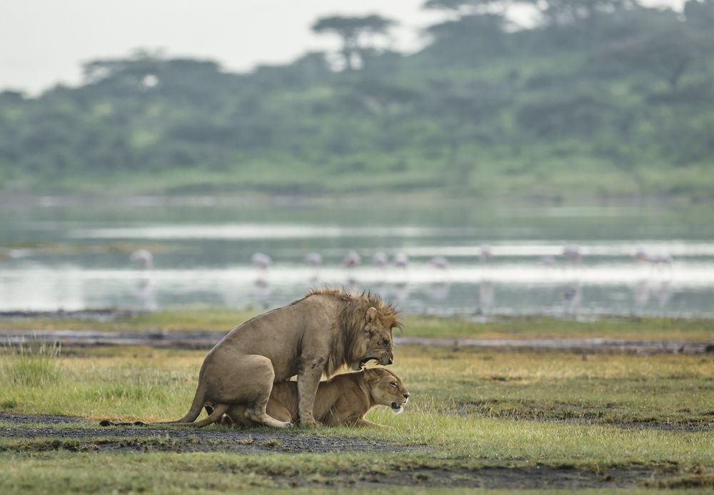 Фотография автора Patrick Hozza