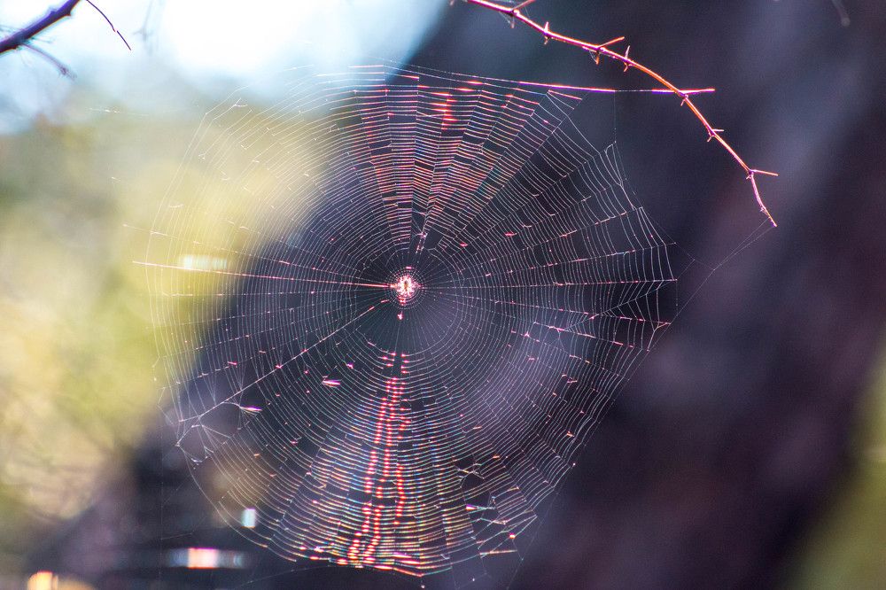 Photograph by Светлана Катанцева