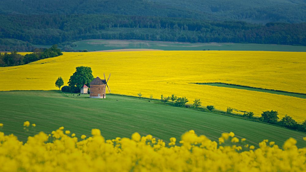 Photograph by Шимаковский Юрий