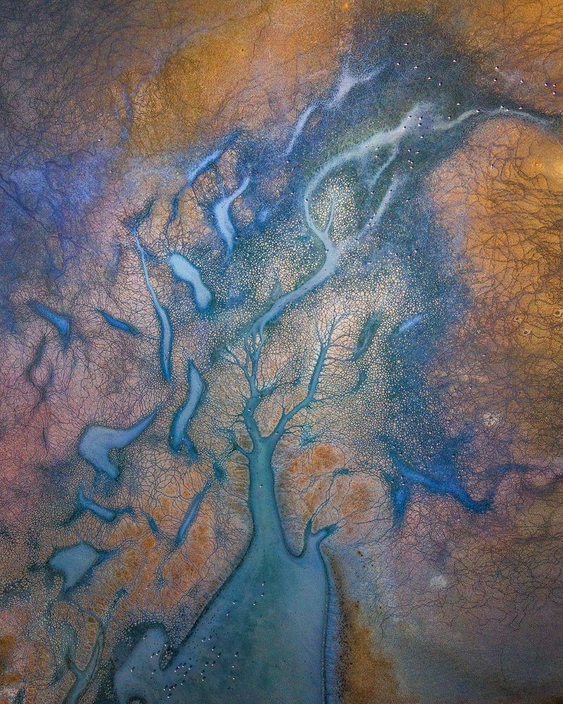 Photograph by Kani (kanipolat.com) Polat