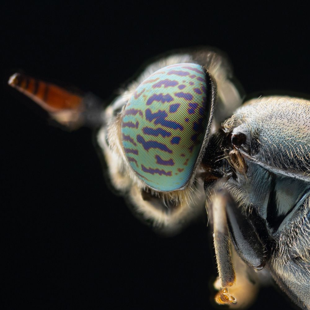 Photograph by Athabarani Osman