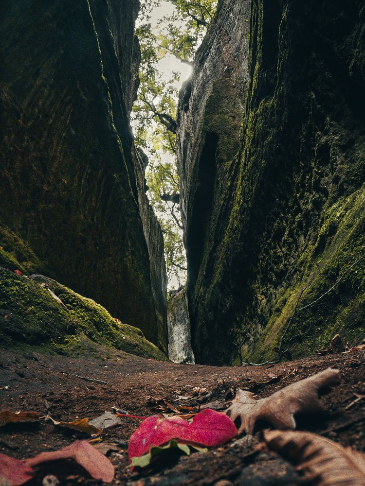 Photograph by Domenico Marrano