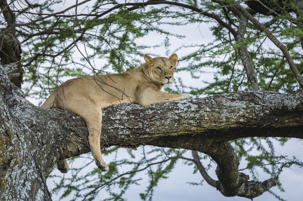 Фотография автора Patrick Hozza