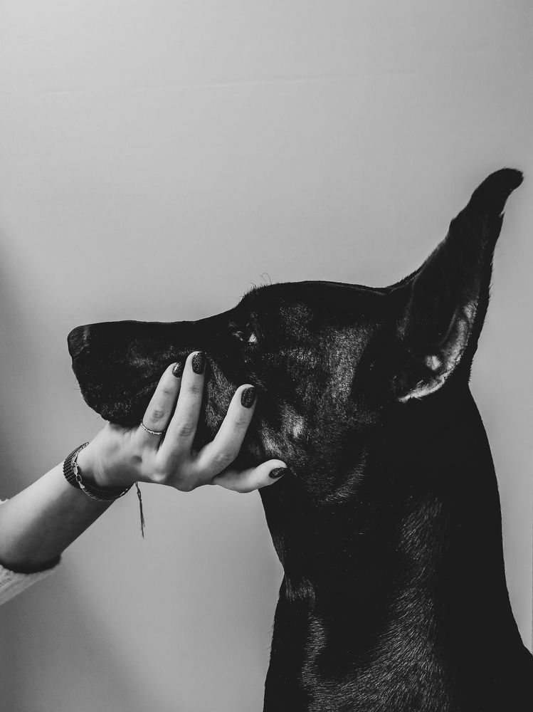 Photograph by Анастасия Копытова