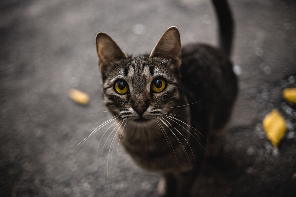 Photograph by Егор Гардин