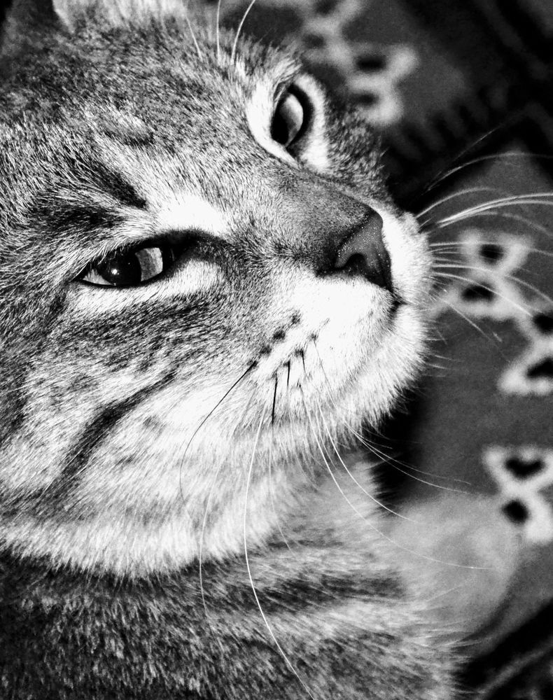 Photograph by Sakhria Mbarki