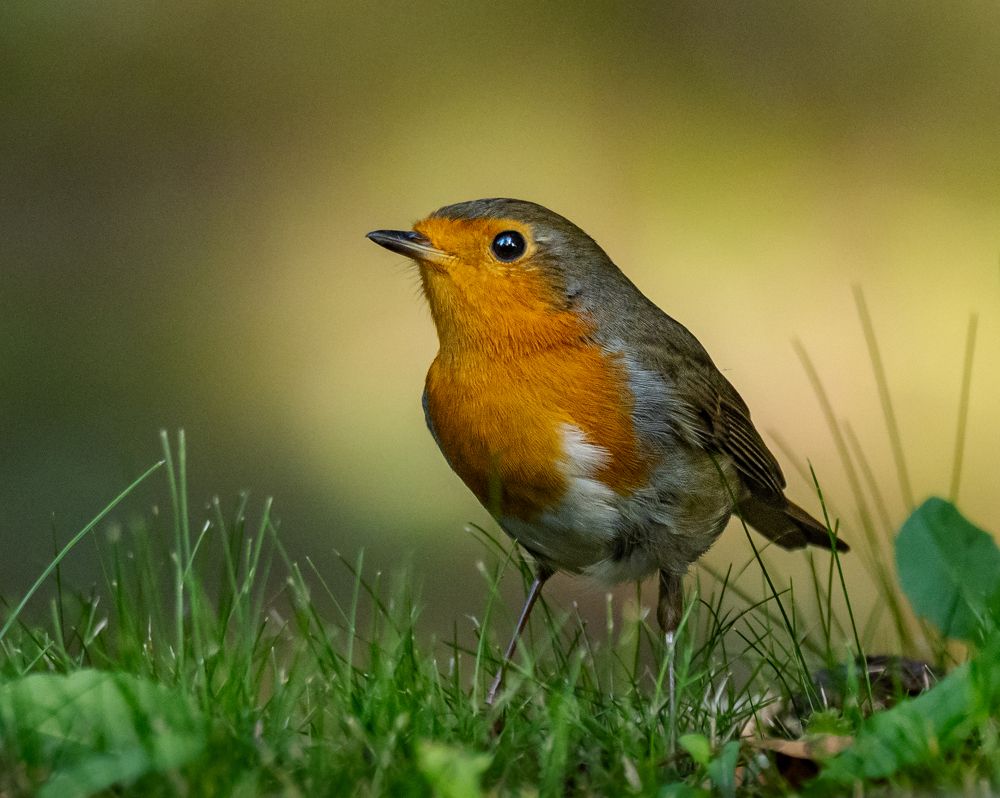 Photograph by Курлянцев Алексей