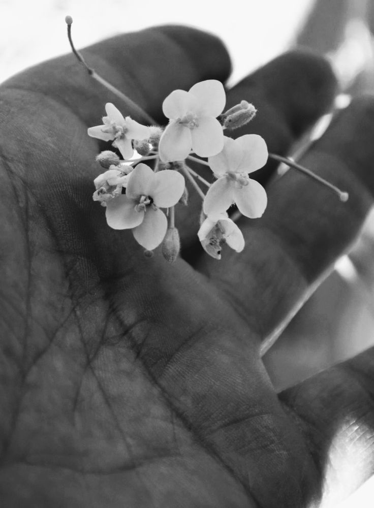 Photograph by Sakhria Mbarki