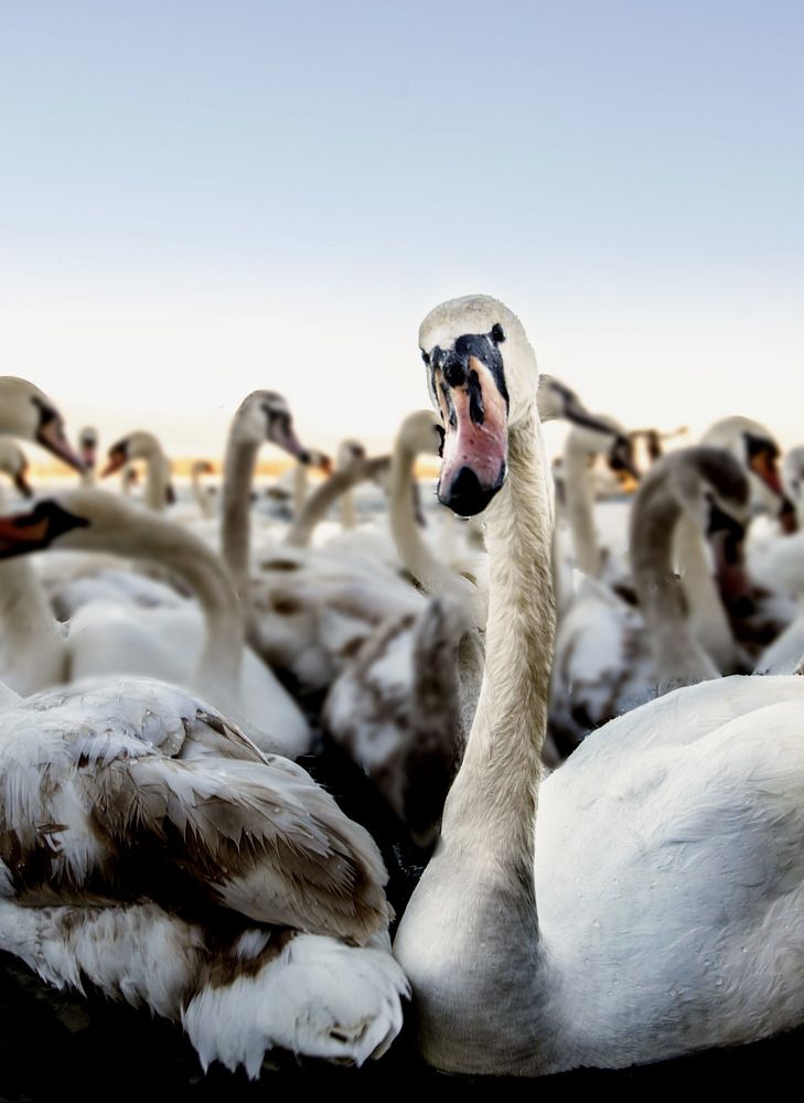 Photograph by Vladimir Jablanov