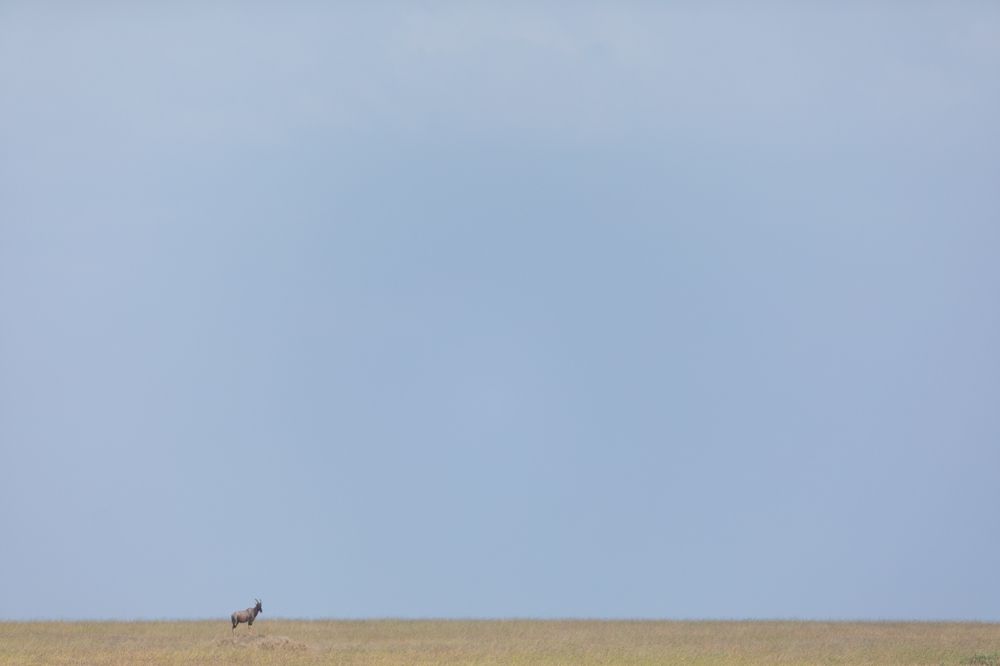 Фотография автора Patrick Hozza