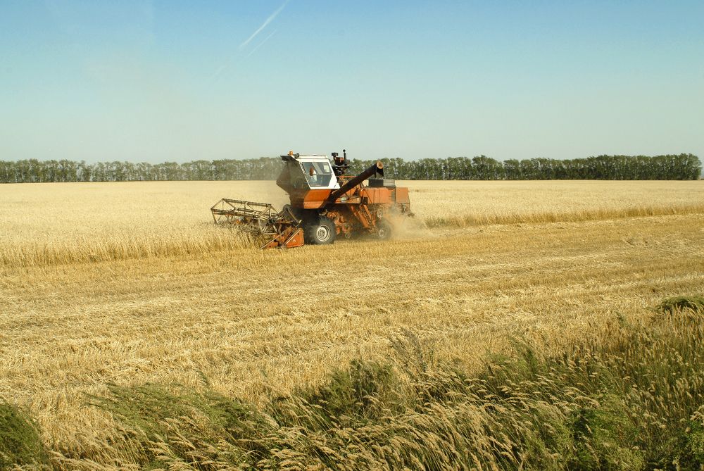 Photograph by Андрей Букин