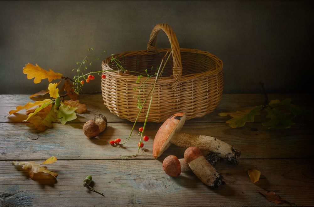 Photograph by Ляля Рюмина