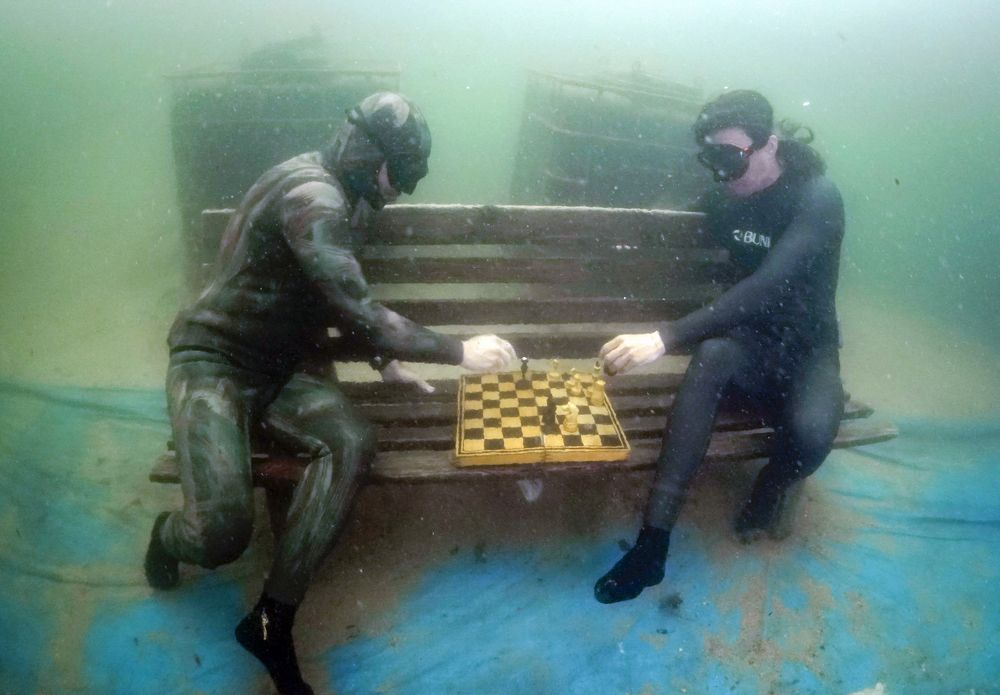 Подводный шахматный турнир