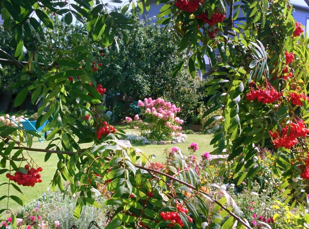 Photograph by Mарина Лесницкая