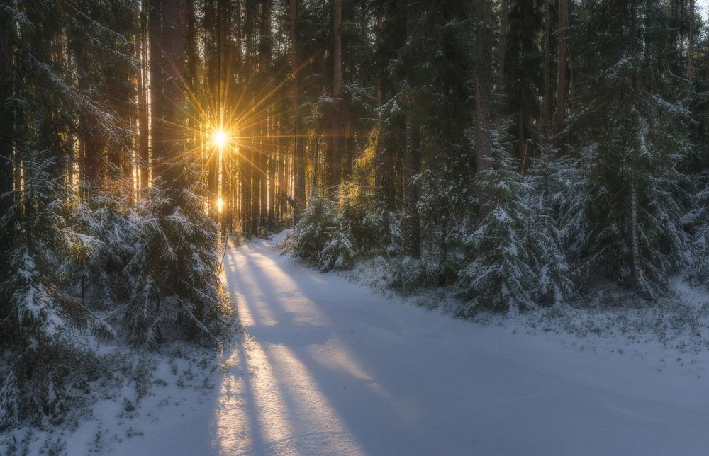 Photograph by  Михаил