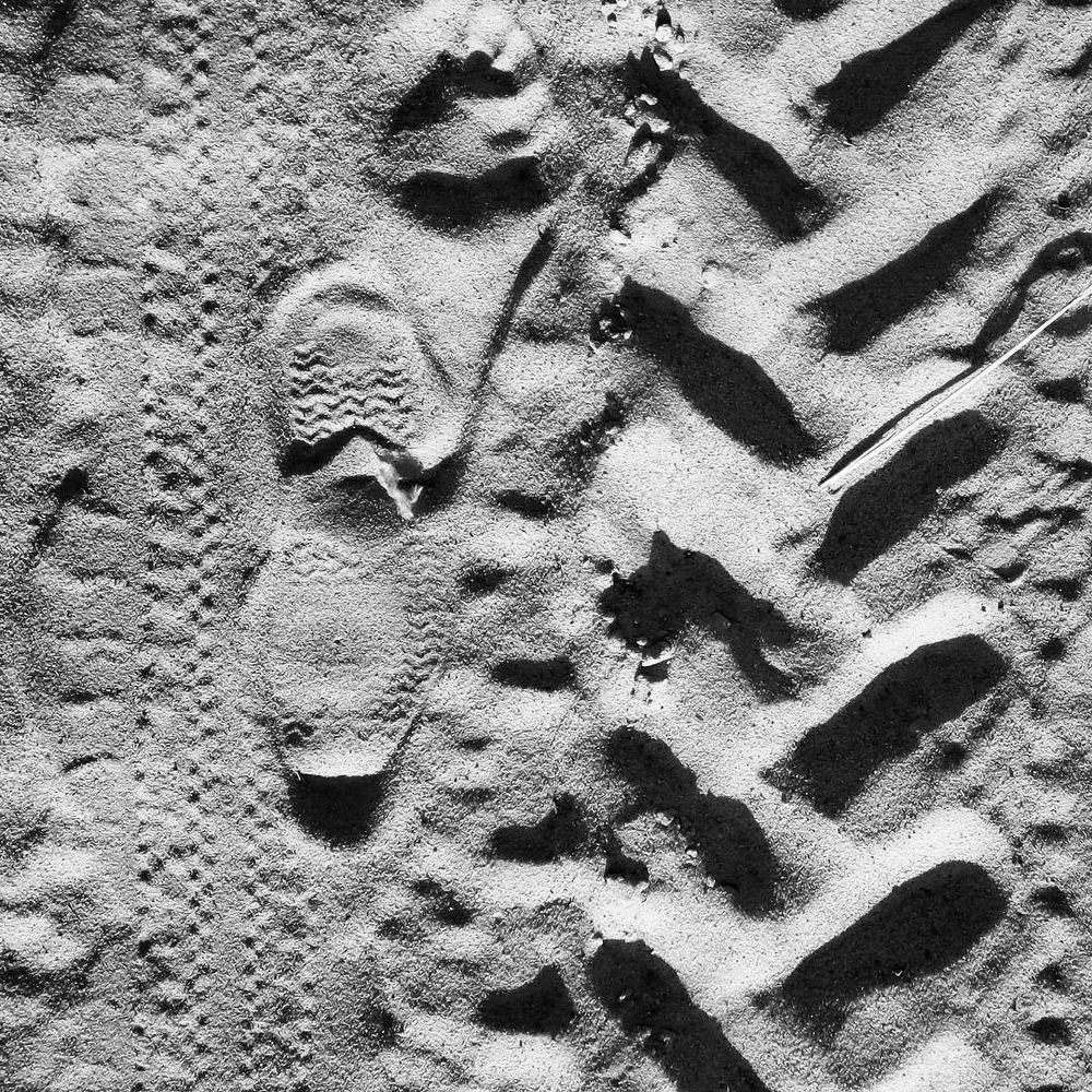 Он видел всё