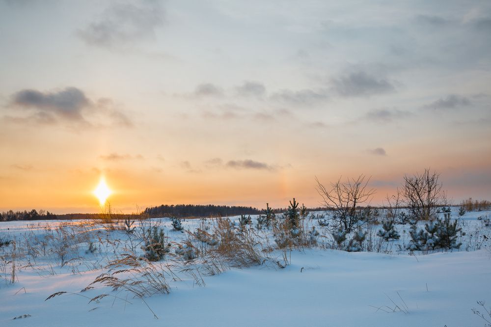 Photograph by Николай Астанин