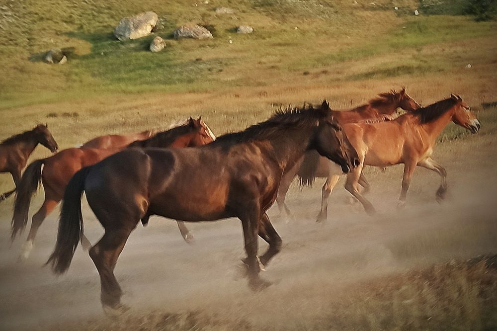 Photograph by Сергей Жигульский