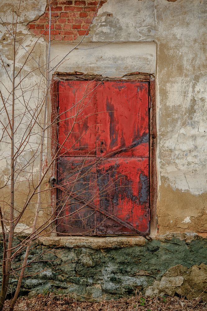 Photograph by Юлия Сухачева