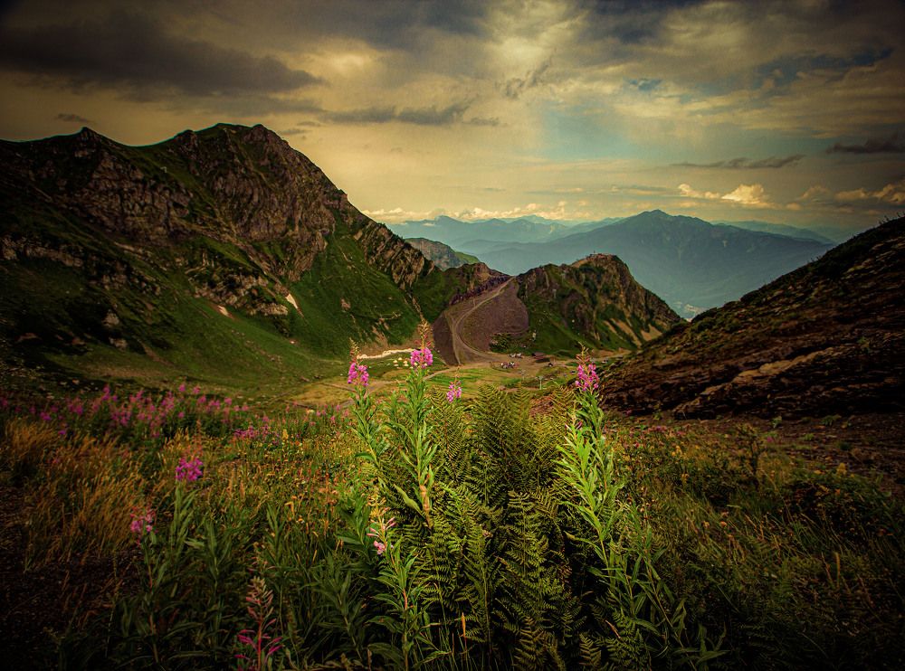 Photograph by Владимир Михайлов