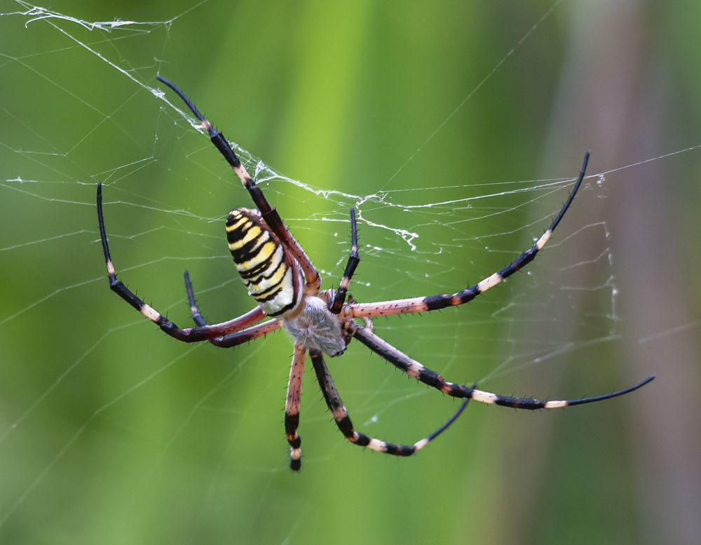 Photograph by Сергей Савчук