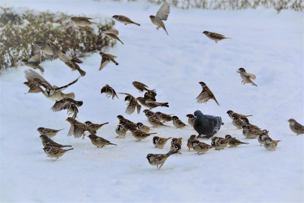 Photograph by Наталья Федорченко