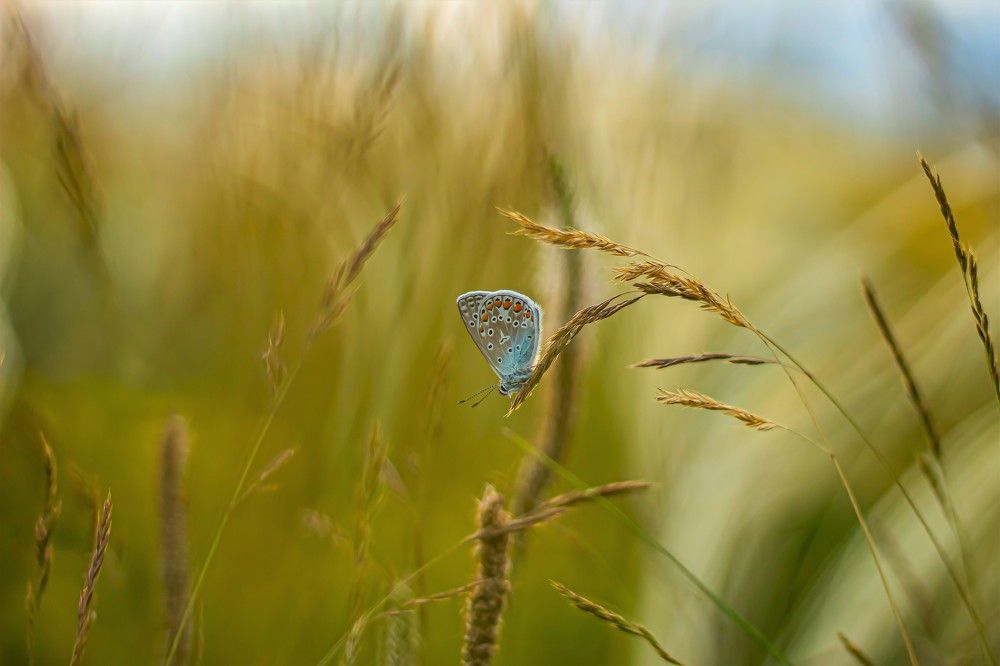 Photograph by Наталья Исиченко