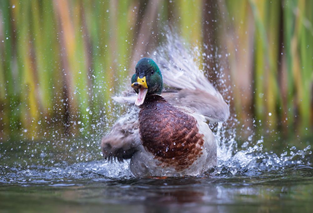 Photograph by Евгений Фруман